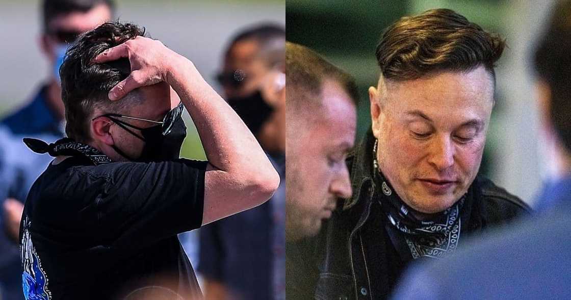 Elon Musk, Tesla, SpaceX, new haircut, people laughing, jokes, memes, reactions Elon Musk, Tesla, SpaceX, new haircut, people laughing, jokes, memes, reactions