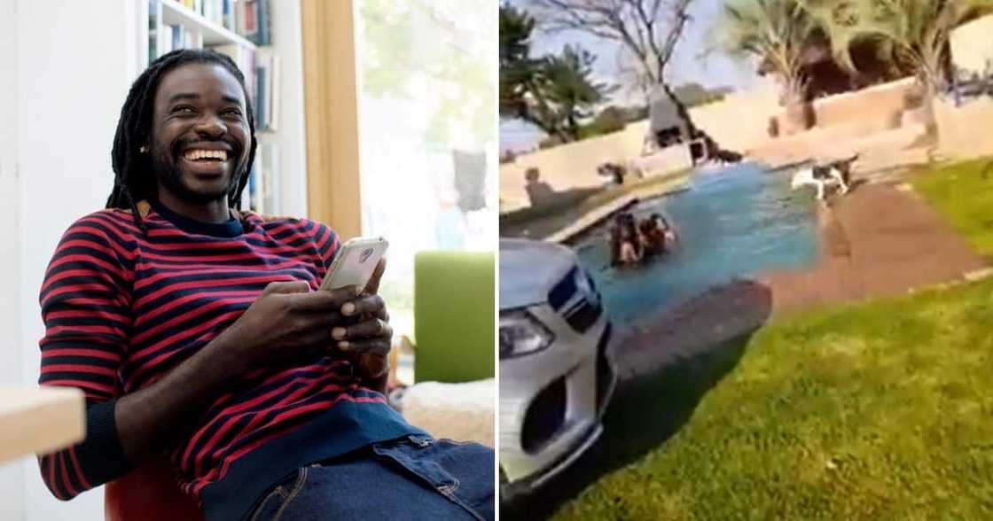 Mzansi, Video, Ladies Trapped, Swimming, Dogs, Pool Mzansi, Video, Ladies Trapped, Swimming, Dogs, Pool