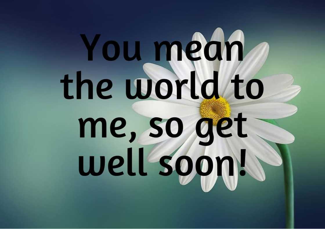 100+ get well soon messages, quotes and wishes for your loved ones