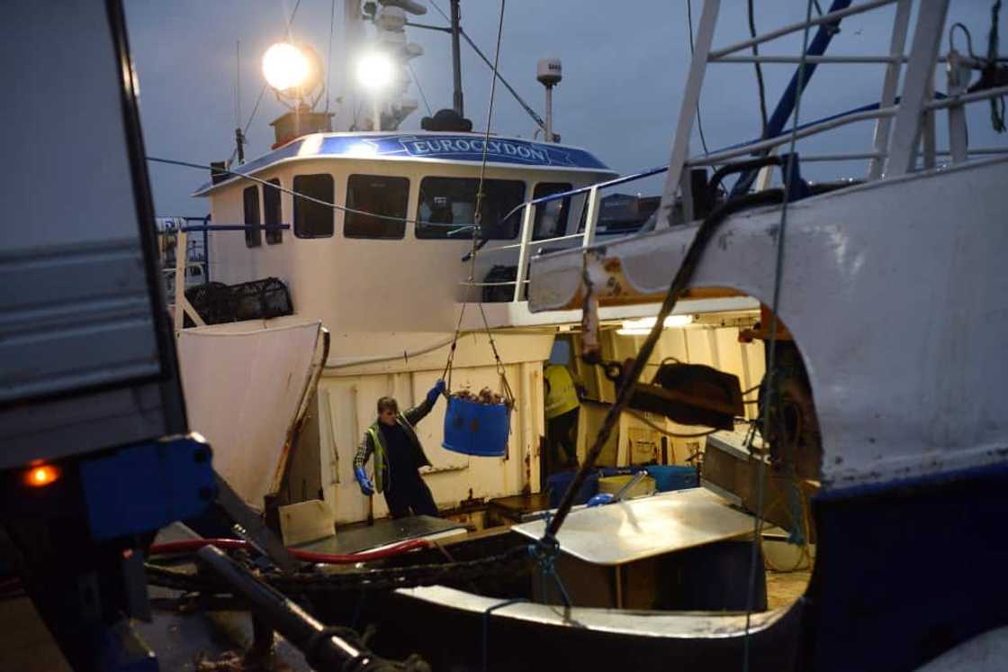 In the mid-20th century, Grimsby was one of the world's leading fishing ports, until the fleets of trawlers began to disappear in the 1970s In the mid-20th century, Grimsby was one of the world's leading fishing ports, until the fleets of trawlers began to disappear in the 1970s