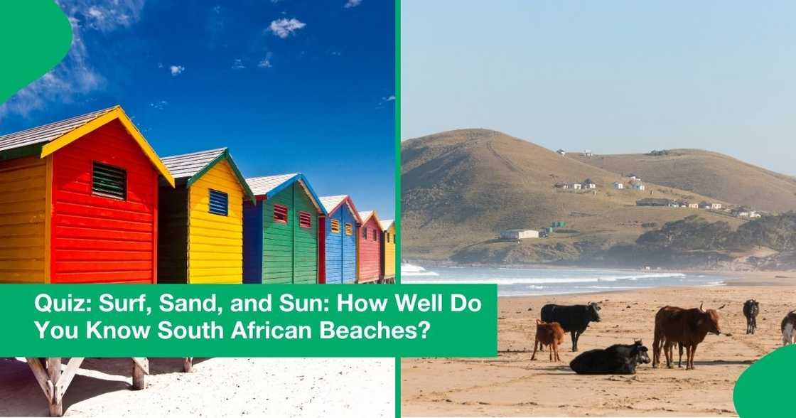 Popular beaches in South Africa.