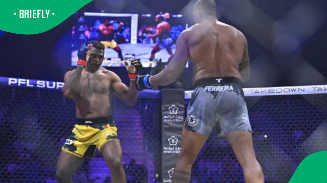Francis Ngannou linked to deadly Easter weekend accident Francis Ngannou linked to deadly Easter weekend accident