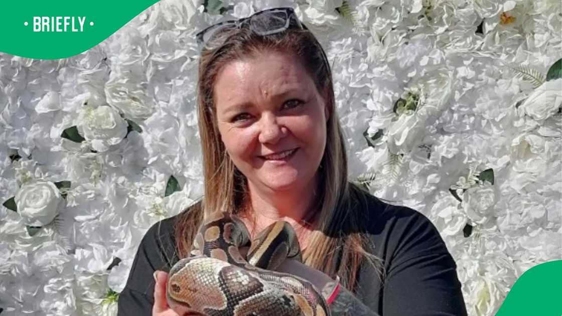 A snake catcher encountered a large black mamba