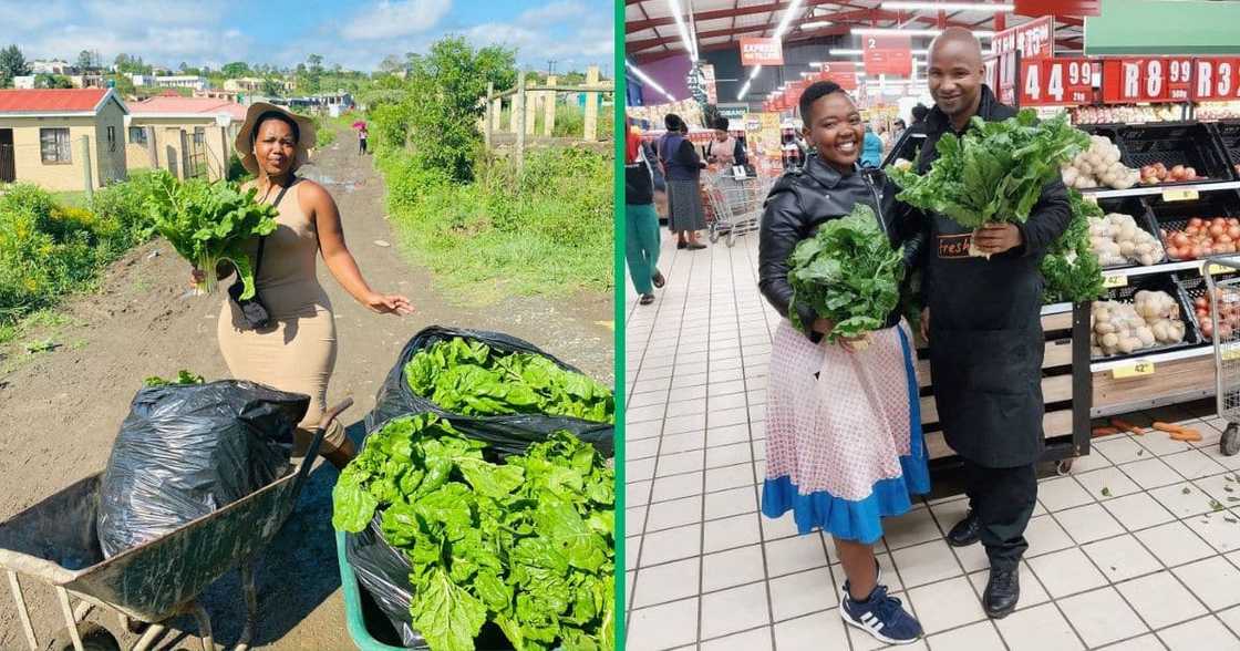 A 24-year-old South African woman Abo Yetse inspired many online after her story of becoming a successful young farmer went viral A 24-year-old South African woman Abo Yetse inspired many online after her story of becoming a successful young farmer went viral