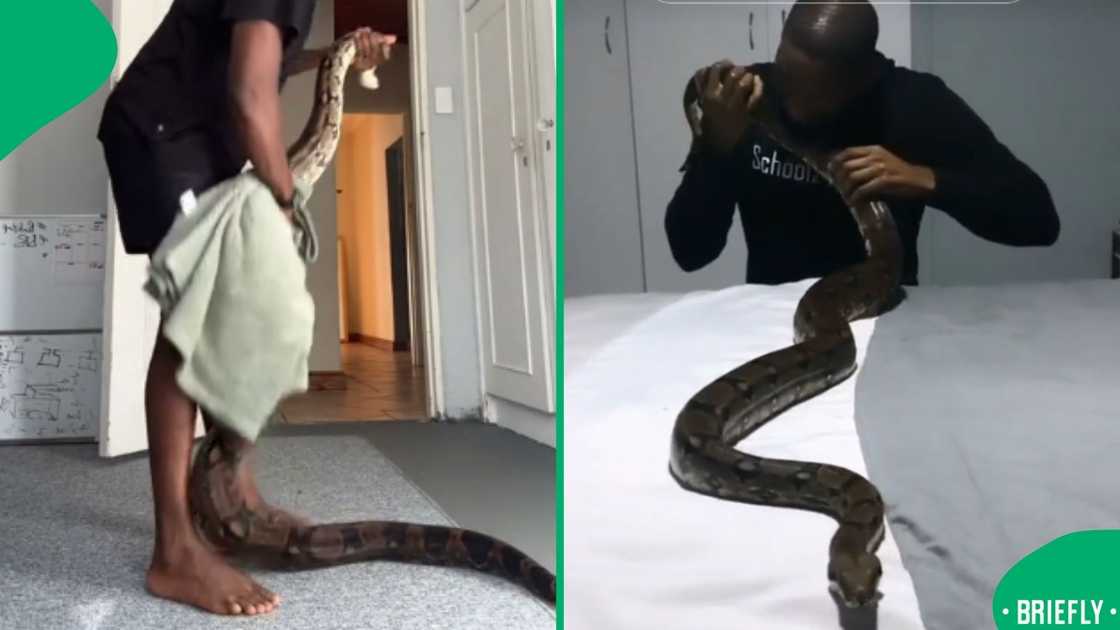 The visual on the right showed Andre Gabone posing with his snake, pretending to be eating it The visual on the right showed Andre Gabone posing with his snake, pretending to be eating it