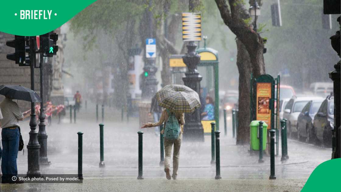 People in the central parts of South Africa have experienced more than average rainfall. People in the central parts of South Africa have experienced more than average rainfall.