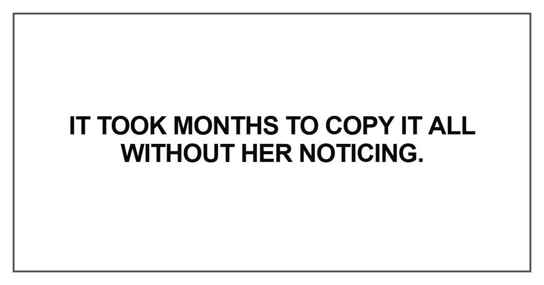 It took months to copy it all It took months to copy it all
