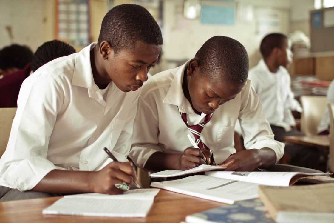 An education expert slammed the proposed Grade 9 certificate An education expert slammed the proposed Grade 9 certificate
