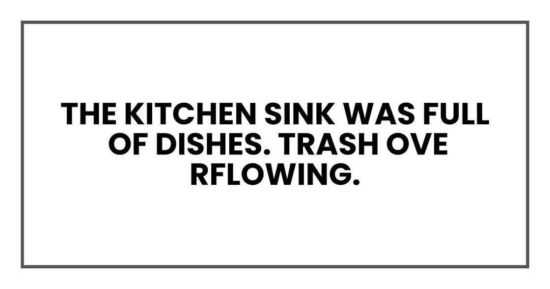 The kitchen sink was full of dishes. Trash overflowing. The kitchen sink was full of dishes. Trash overflowing.