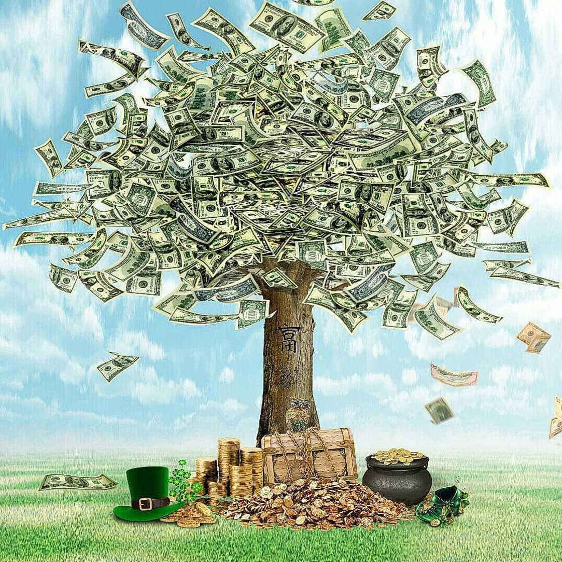 Investment opportunities in South Africa Investment opportunities in South Africa