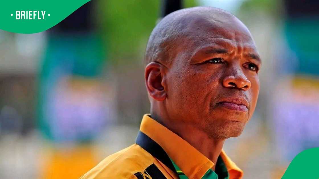 Supra Mahumapelo owns more than 20 properties