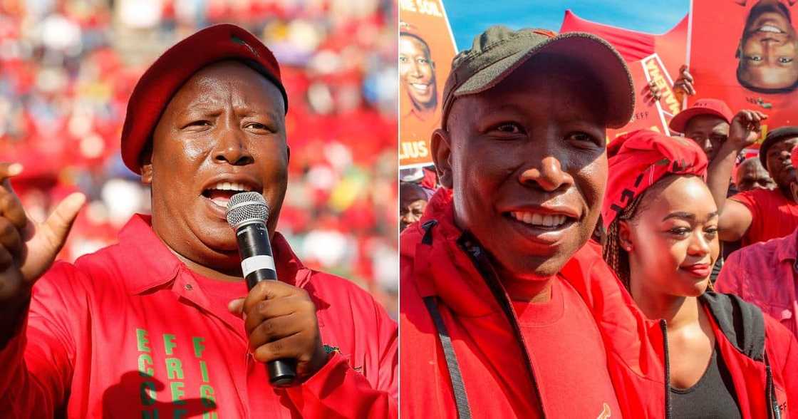 Julius Malema Julius Malema