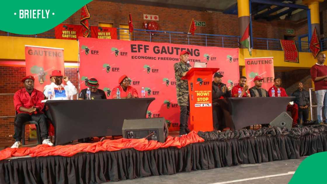 The EFF has called for an end to the tender system The EFF has called for an end to the tender system