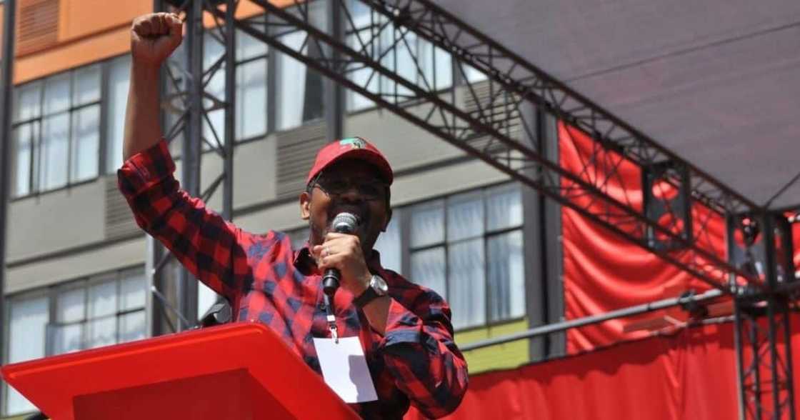 Dali Mpofu, Advocate Mpofu, Jacob Zuma, President Zuma, Pretoria High Court Dali Mpofu, Advocate Mpofu, Jacob Zuma, President Zuma, Pretoria High Court