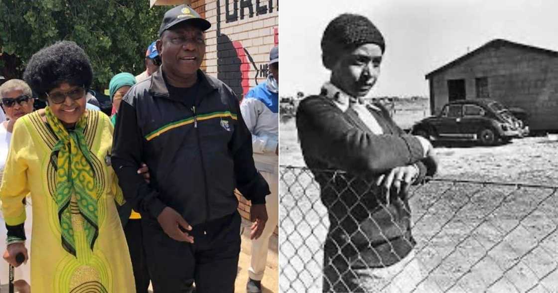 President, Cyril Ramaphosa, Honours, Late Ma Winnie, Birthday