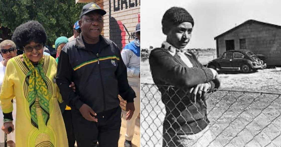 President, Cyril Ramaphosa, Honours, Late Ma Winnie, Birthday President, Cyril Ramaphosa, Honours, Late Ma Winnie, Birthday
