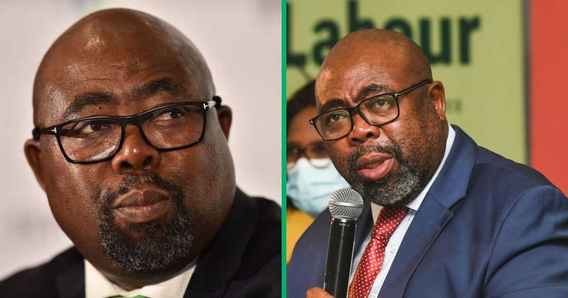 Thulas Nxesi, the Minister of Employment and Labour, was allegedly implicated in a R500 million UIF bribery scandal Thulas Nxesi, the Minister of Employment and Labour, was allegedly implicated in a R500 million UIF bribery scandal