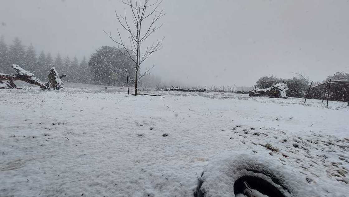Snowfall in parts of South Africa. Snowfall in parts of South Africa.