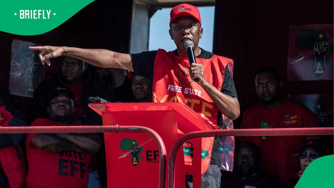 Malema stated that the EFF only concentrates on building the party. Malema stated that the EFF only concentrates on building the party.