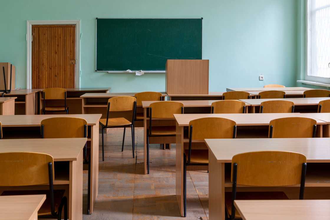 Fransie worked in the education sector for a decade Fransie worked in the education sector for a decade