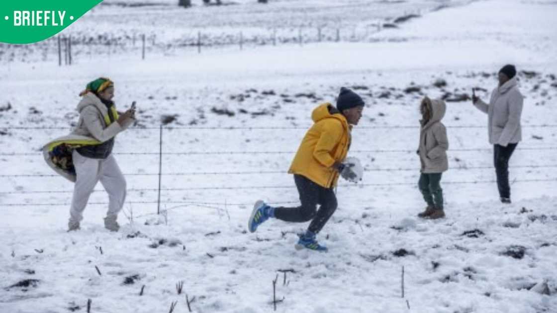 KZN snow