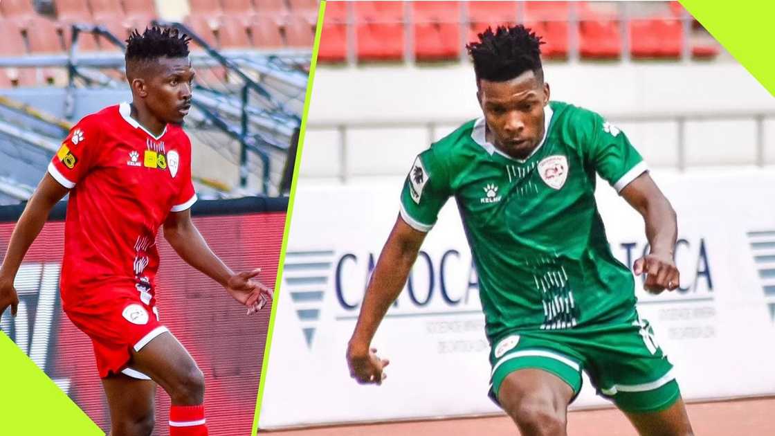 Shaune Mogaila has been defended by his former agent. Shaune Mogaila has been defended by his former agent.