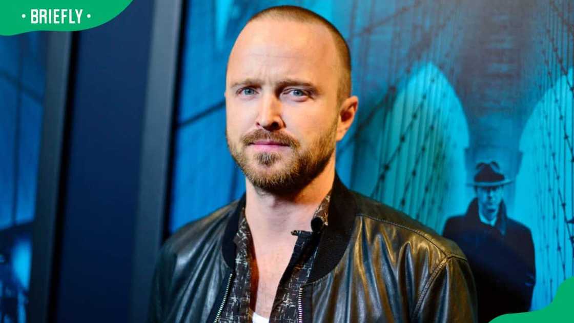 Aaron Paul’s profiles