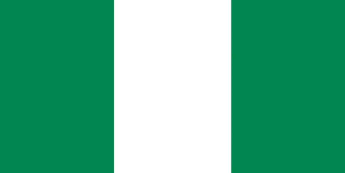 The flag of Nigeria