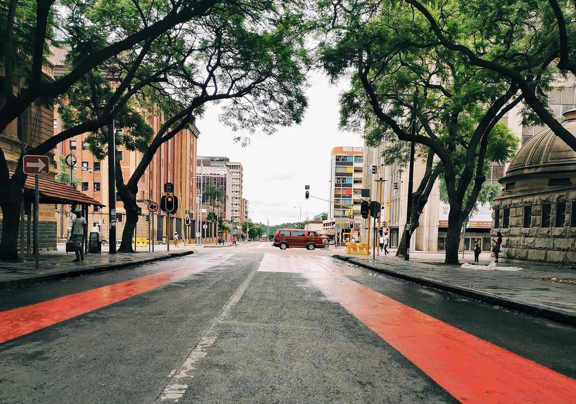 South Africa divided over man sleeping on Pretoria streets by choice