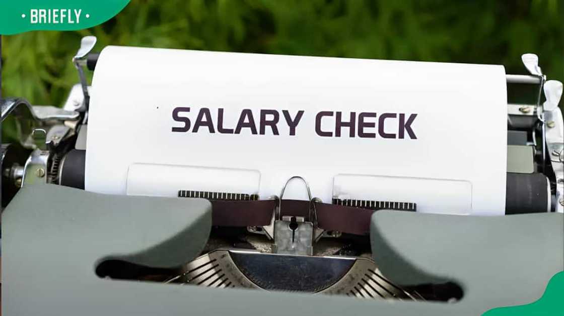 Government salary levels in South Africa Government salary levels in South Africa