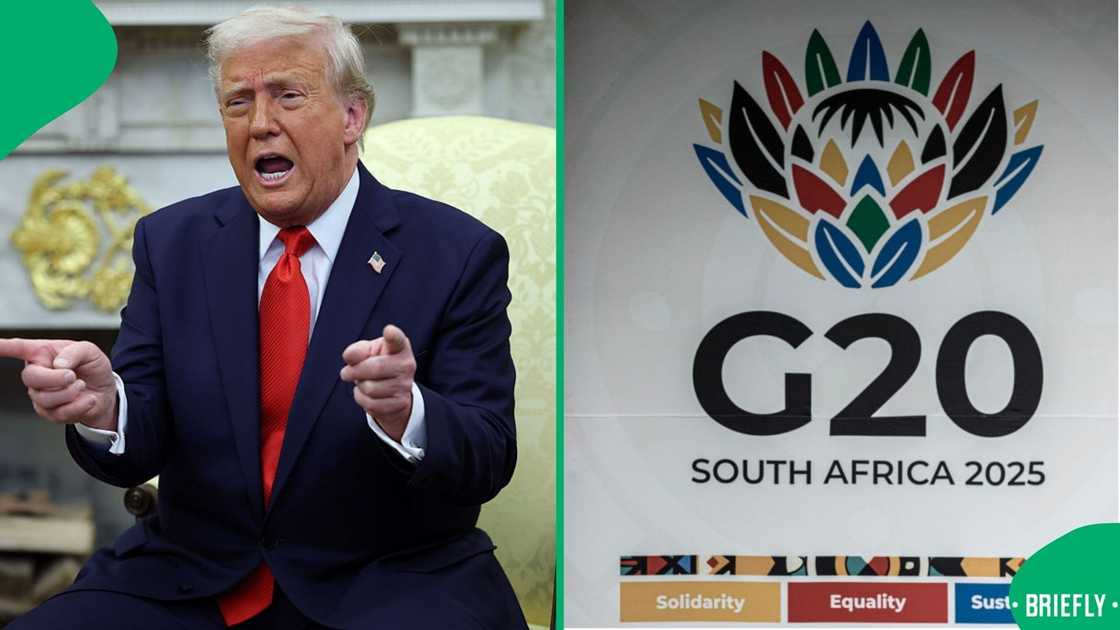 A political analyst said Donald Trump's non-attendance of the G20 is not surprising A political analyst said Donald Trump's non-attendance of the G20 is not surprising