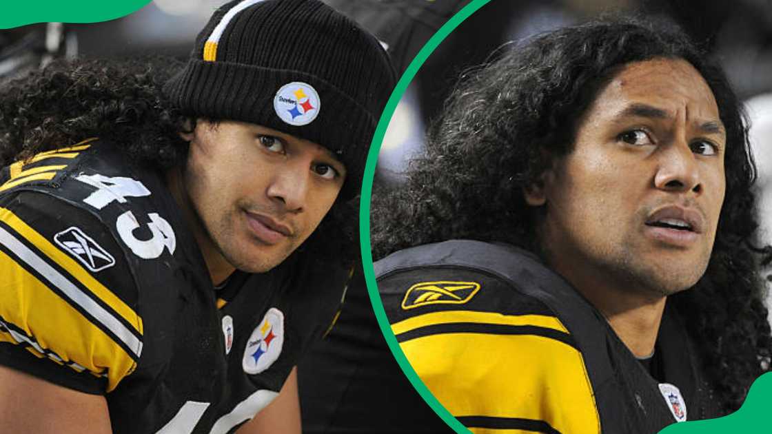 Troy Polamalu's wife is Theodora Holmes