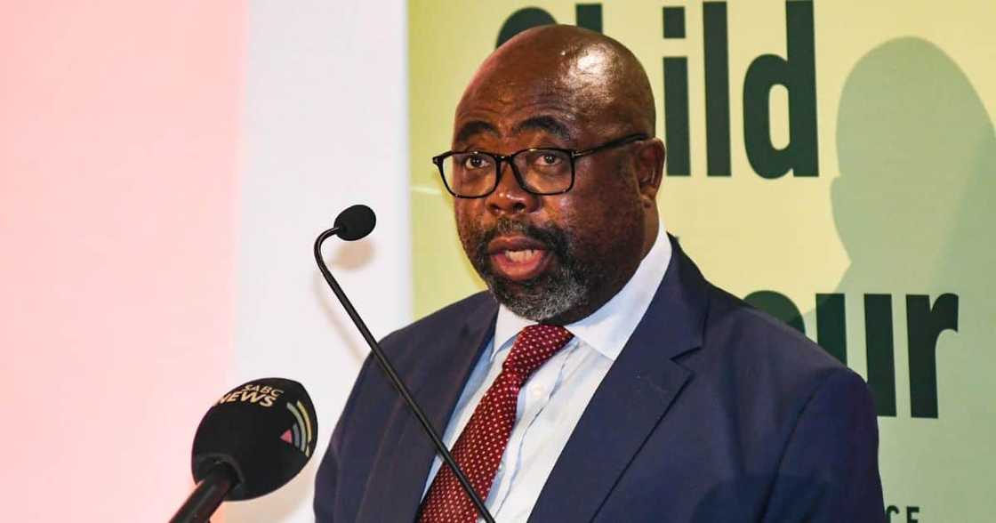 Thembelani Thulas Nxesi Thembelani Thulas Nxesi