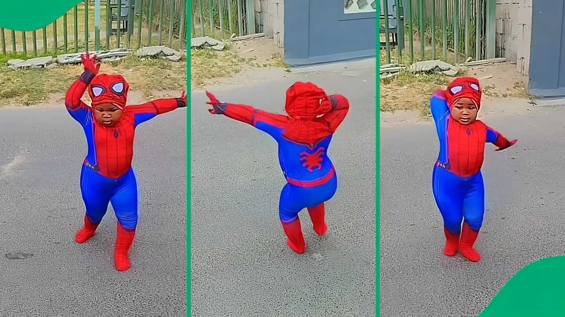 A TikTok video shows a little girl dressed as Spider-Man showcasing her Zulu dance moves. A TikTok video shows a little girl dressed as Spider-Man showcasing her Zulu dance moves.