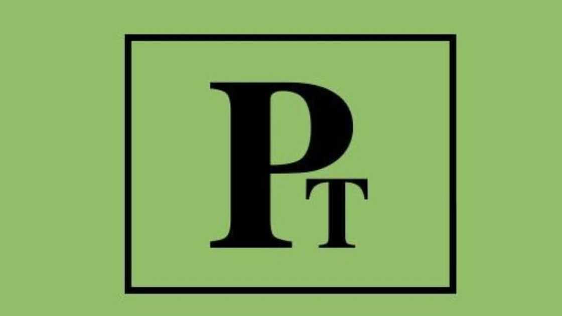 The Pestalozzi Trust logo The Pestalozzi Trust logo