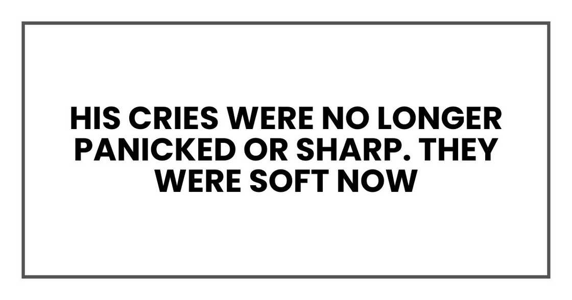 His cries were no longer panicked or sharp. They were soft now His cries were no longer panicked or sharp. They were soft now