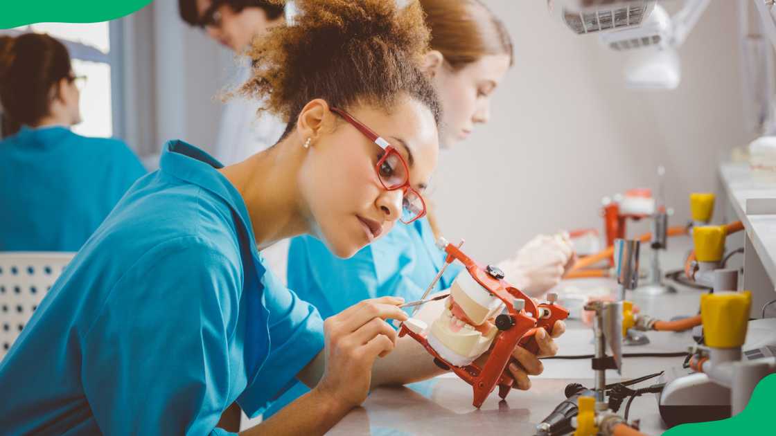 What high school subjects are required to study dentistry? What high school subjects are required to study dentistry?