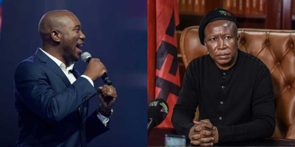 "Have Courage": Julius Malema and Mmusi Maimane Exchange Virtual Blows "Have Courage": Julius Malema and Mmusi Maimane Exchange Virtual Blows