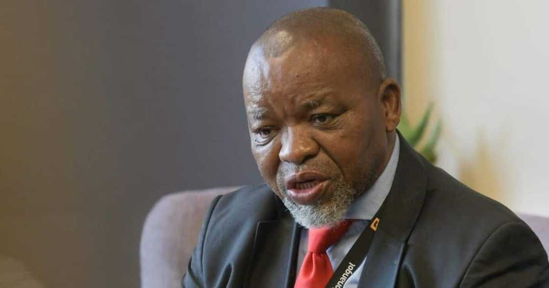 Gwede Mantashe. Minister of Mineral Resources and Energy, Gas Master Plan, Karoo, fracking, offshore gas, Shell survey Gwede Mantashe. Minister of Mineral Resources and Energy, Gas Master Plan, Karoo, fracking, offshore gas, Shell survey