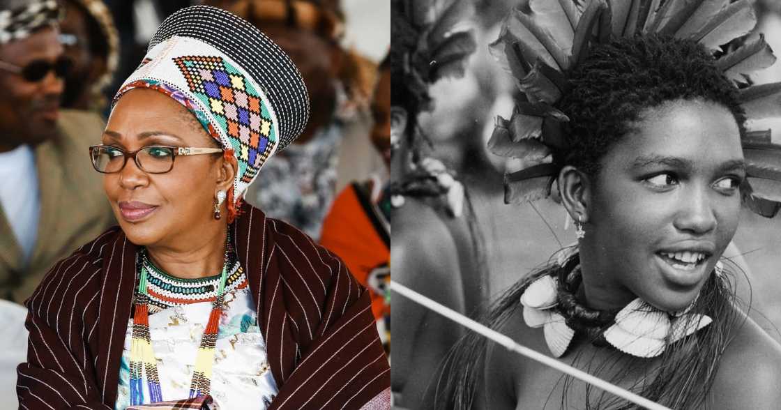 Queen Mantfombi: Expert Says New Zulu Monarch Must Be Appointed ASAP Queen Mantfombi: Expert Says New Zulu Monarch Must Be Appointed ASAP