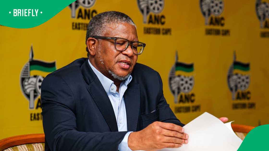 Fikile Mbalula addressing the media at an African National Congress briefing Fikile Mbalula addressing the media at an African National Congress briefing
