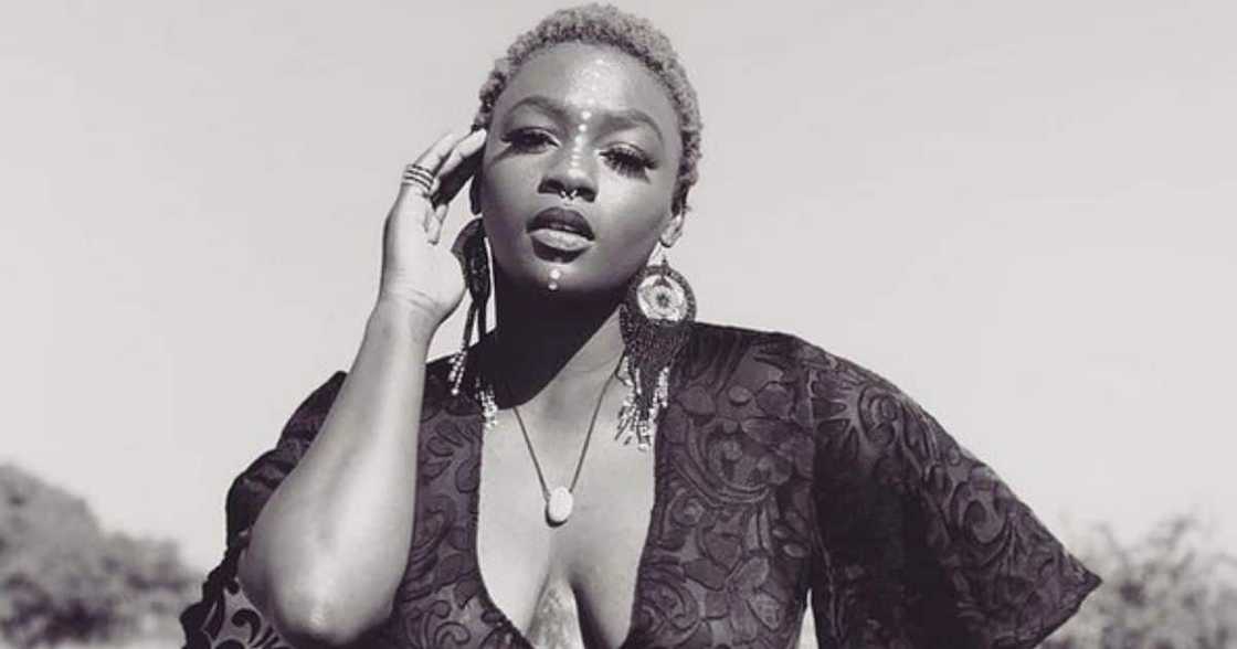 Amanda Black, weighs in, lack of service delivery, SA, govt, captured Amanda Black, weighs in, lack of service delivery, SA, govt, captured