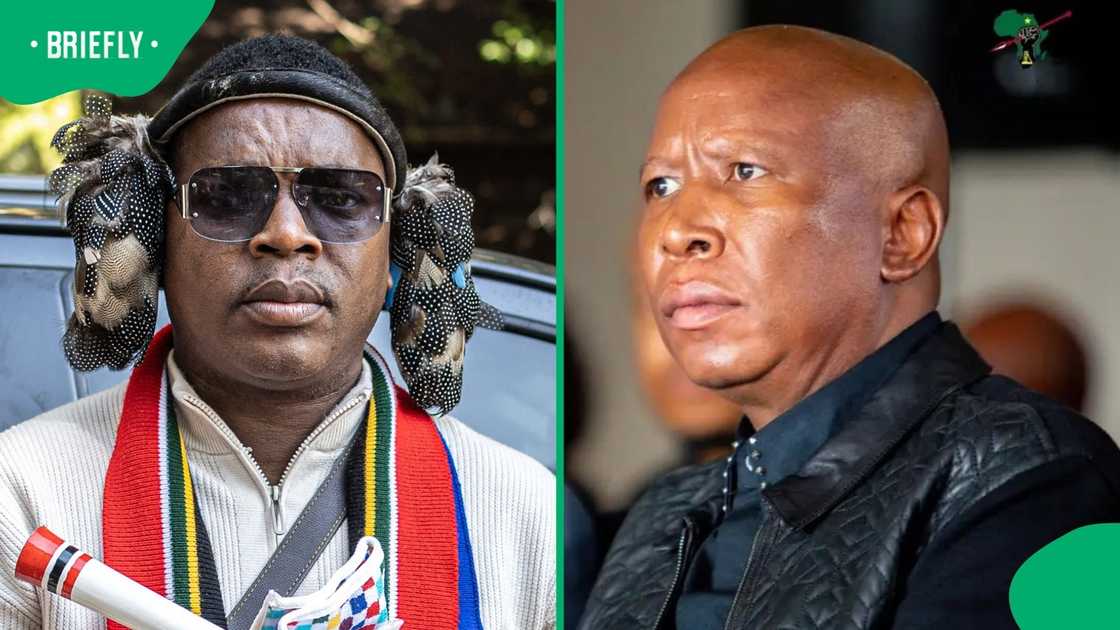 Julius malema seeks lengthy prison sentence for Ngizwe Mchunu