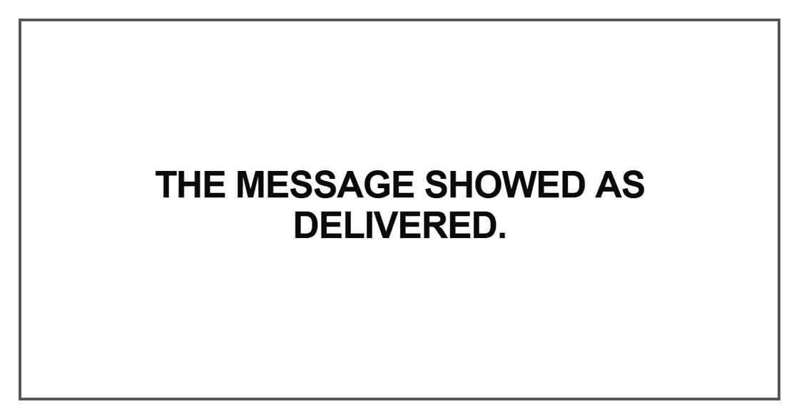 The message showed as delivered