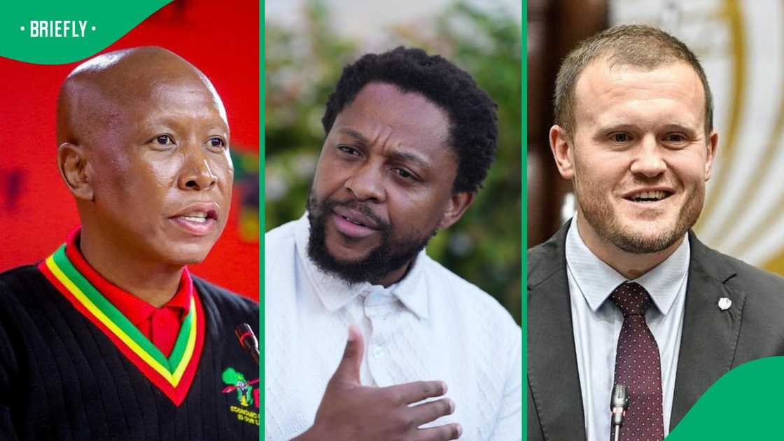 Mbuyiseni Ndlozi says Malema and Ian Cameron should not have sat on Mkhwanazi as hoc committee
