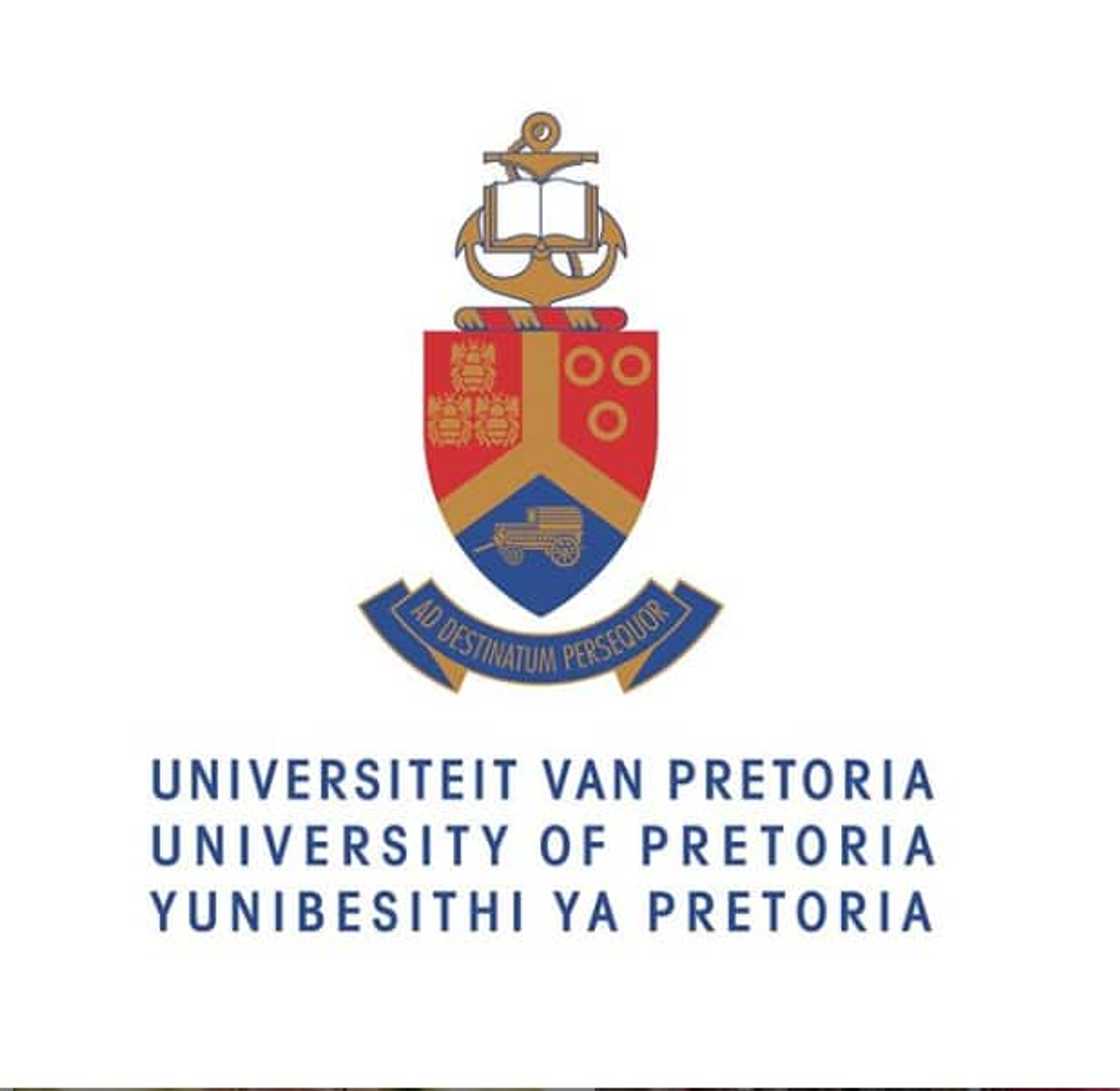 Top universities in South Africa 2019-2020 Top universities in South Africa 2019-2020
