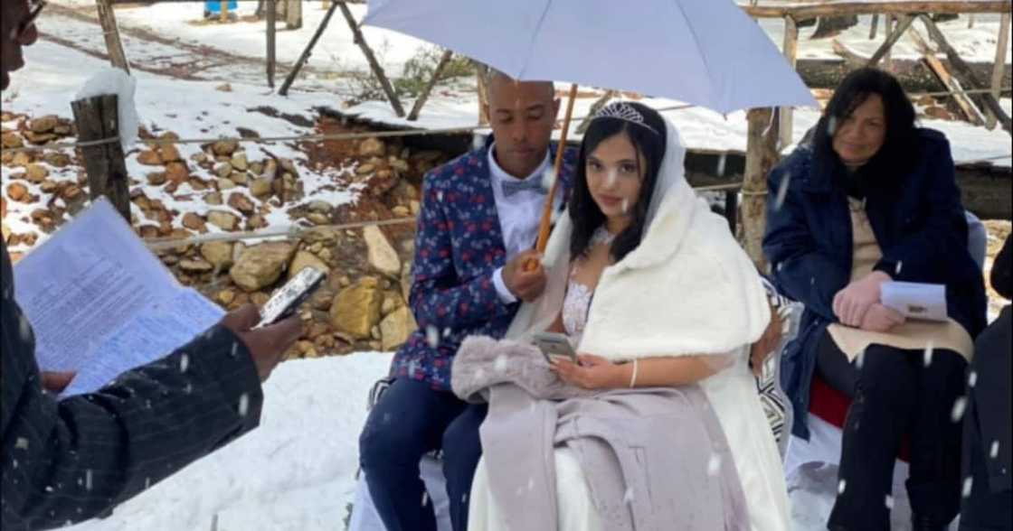 Snow, Wedding, Cape Town, Social media reactions