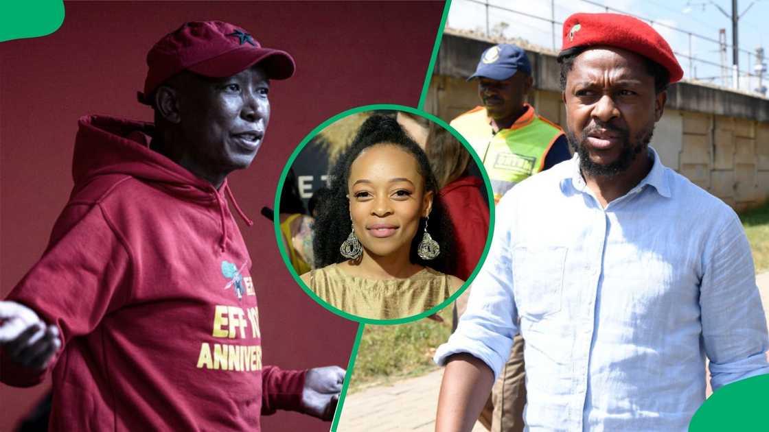 Julius Malema took digs at Mmabatho Montsho and Mbuyiseni Ndlozi. Julius Malema took digs at Mmabatho Montsho and Mbuyiseni Ndlozi.
