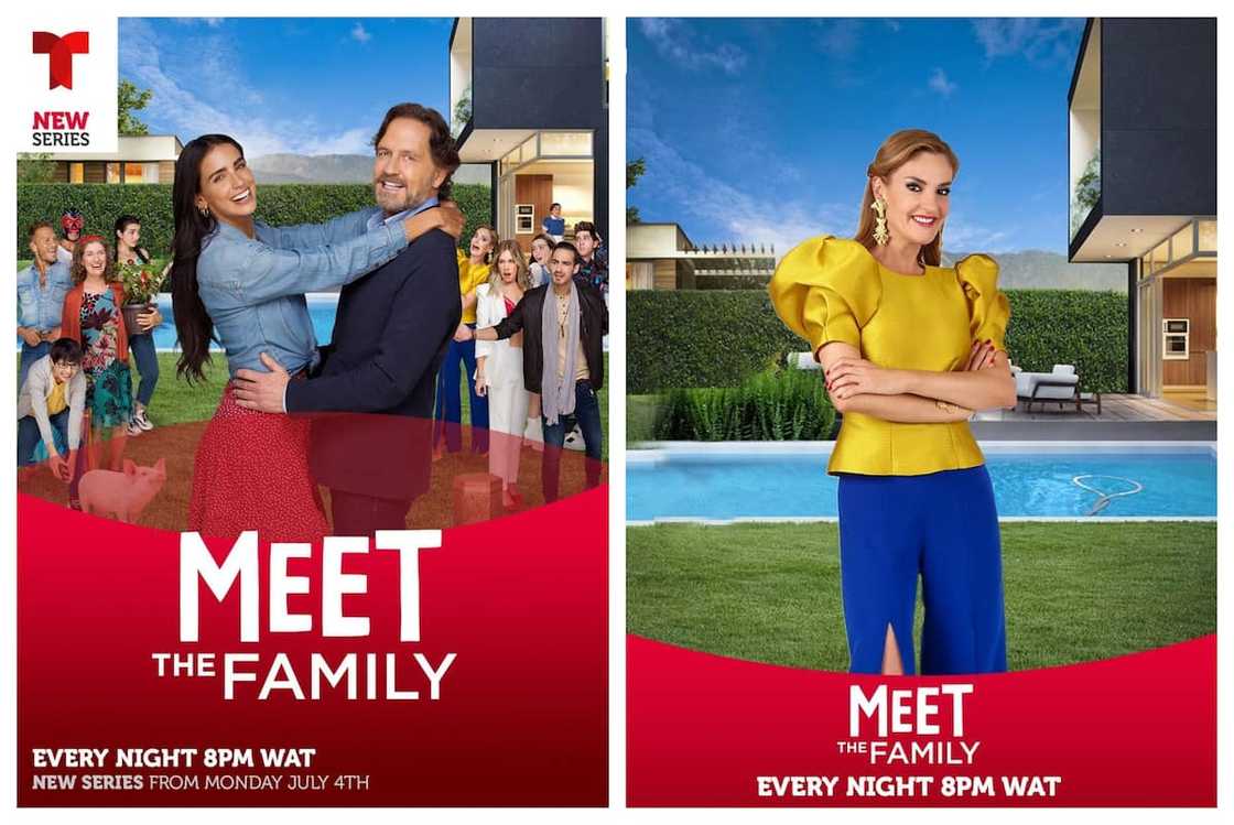 Meet the Family teasers Meet the Family teasers