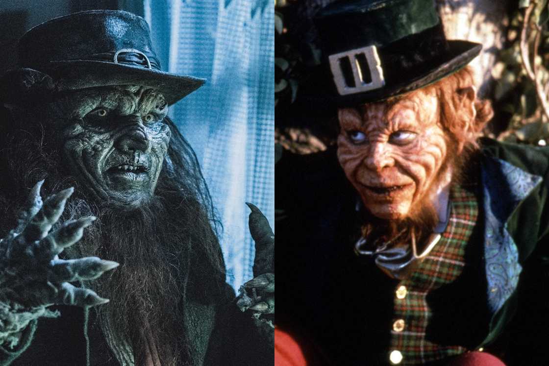 The Leprechaun The Leprechaun